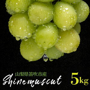 yӂ邳Ɣ[ŁzVC}XJbg 5kg RJsY ӂ邳Ɣ[ Ԃǂ VC}XJbg Js Y lC Ԍ ʕ t[c { R  235-005