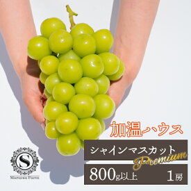 【ふるさと納税】＜25年発送＞【2026年発送★先行予約】「マルエス農園」加温ハウス　プレミアムシャインマスカット　1房　800g以上 ふるさと納税 笛吹市 国産 人気 期間限定 旬 果物 フルーツ 山梨県 送料無料 216-004