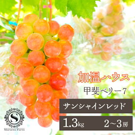 【ふるさと納税】＜25年発送＞【2026年発送★先行予約】「マルエス農園」加温ハウス サンシャインレッド 2～3房 1.3kg以上 ふるさと納税 人気 おすすめ ランキング 甲斐ベリー7 サンシャインレッド ぶどう ブドウ 葡萄 種無し 新品種 山梨県 笛吹市 送料無料 216-005