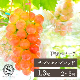 【ふるさと納税】＜25年発送＞【2026年発送★先行予約】「マルエス農園」サンシャインレッド 2～3房 1.3kg以上 ふるさと納税 笛吹市 国産 人気 期間限定 旬 果物 フルーツ 山梨県 送料無料 216-006