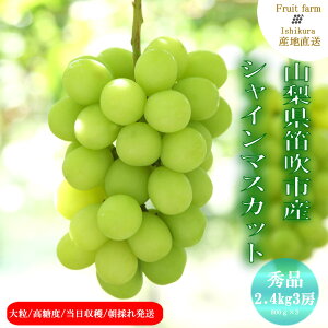 �y�ӂ邳�Ɣ[�Łz�y2026�N��������s�\��z�I�ׂ�e�� �J���s�Y �V���C���}�X�J�b�g �Αq�t�@�[���y950g����2.4kg�z�ӂ邳�Ɣ[�� �Ԃǂ� �V���C���}�X�J�b�g �J���s ���Ԍ��� �ʕ� �{ �R���� 