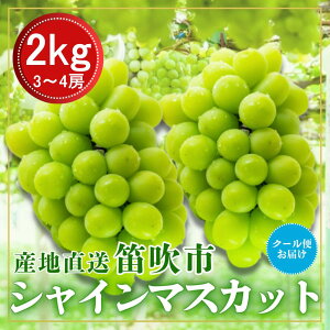 yӂ邳Ɣ[ŁzJsN[֔@VC}XJbg@2kg@3`4[ ӂ邳Ɣ[ Ԃǂ VC}XJbg Js Y lC Ԍ ʕ t[c { R  226-011