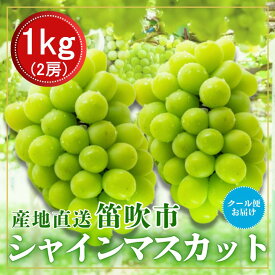 【ふるさと納税】【2026年発送★先行予約】笛吹市からクール便発送　シャインマスカット　1kg　2房 ふるさと納税 ぶどう シャインマスカット 笛吹市 国産 人気 期間限定 果物 フルーツ 旬 山梨県 送料無料 226-012