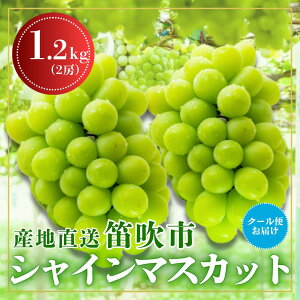 yӂ邳Ɣ[ŁzJsN[֔@VC}XJbg@1.2kg@2[ ӂ邳Ɣ[ Ԃǂ VC}XJbg Js Y lC Ԍ ʕ t[c { R  226-001