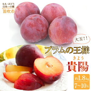 yӂ邳Ɣ[Łzy2026Ns\zJsY@Mz@1.8kg@i7`10ʁj ӂ邳Ɣ[  LO Mz  X v Js Y lC Ԍ ʕ t[c