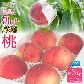 【ふるさと納税】＜2024年先行予約＞笛吹市産　厳選! 旬の桃 約3kg (7~12玉) ふるさと納税 もも 桃 笛吹市 国産 人気 期間限定 果物 フルーツ 旬 山梨県 送料無料 205-002