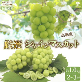 【ふるさと納税】＜2024年先行予約＞笛吹市産　 厳選! シャインマスカット 2～3房 約1.0kg ふるさと納税 シャインマスカット 笛吹市 国産 人気 期間限定 ぶどう ブドウ 葡萄 旬 果物 フルーツ 山梨県 送料無料 先行予約 205-004