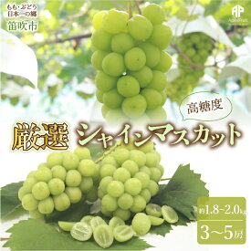 【ふるさと納税】＜2024年度先行予約＞ 笛吹市産　厳選! シャインマスカット 約1.8～2.0kg 3～5房 ふるさと納税 シャインマスカット 笛吹市 国産 人気 期間限定 ぶどう ブドウ 葡萄 旬 果物 フルーツ 山梨県 送料無料 205-005