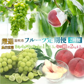 【ふるさと納税】【2026年発送★先行予約】笛吹市産　厳選!農家直送「フルーツ定期便2回便」桃 約2キロ(4～7玉)6月～8月 シャインマスカット約1.0キロ(2～3房) 9月～10月 205-006
