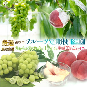 yӂ邳Ɣ[Łzy2026Ns\zJsY@I!_ƒut[c2ցv 2L(4`7)6`8 VC}XJbg1.0L(2`3[) 9`10 205-006