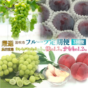 yӂ邳Ɣ[Łzy2026Ns\zJsY@I!_ƒut[c3ցv ӂ邳Ɣ[  LO VC}XJbg   Mz  Js Y lC 