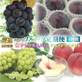 【ふるさと納税】【2026年発送★先行予約】笛吹市産　厳選!農家直送「フルーツ定期便4回便」 ふるさと納税 おすすめ ランキング シャインマスカット 桃 もも 貴陽 すもも スモモ プラム ぶどう ブドウ 笛吹市 国産 果物 フルーツ 旬 山梨県 送料無料 定期便 205-012