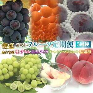 yӂ邳Ɣ[Łz y2026Ns\zJsY@I!_ƒut[c5ցv {̉ʎ͂1-2l VC}XJbg   Mz  X v Ԃǂ uh