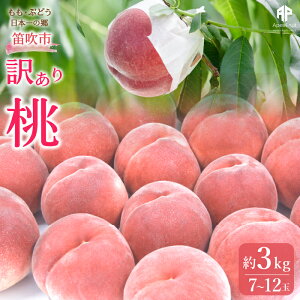 yӂ邳Ɣ[Łzy2026Ns\zJsY@󂠂蓍 3kgi7`12ʁj ӂ邳Ɣ[ 󂠂   Js Y lC Ԍ ʕ t[c { R  205-003-26y