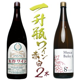 【ふるさと納税】築宝一升瓶赤ワイン白ワイン　2本セット ふるさと納税 ワイン 笛吹市 山梨ワイン 酒 アルコール 山梨県 記念品 お祝い 送料無料 127-013