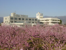 【ふるさと納税】人間ドック　お手軽コース ふるさと納税 人間ドック 温泉 血液検査 がん検査 笛吹市 診察 フィットネス ジム 旅行 観光 日帰り 山梨県 199-001