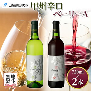 yӂ邳Ɣ[ŁzbBhEx[[A 2{Zbg 720ml f C ԃC C   ʎ 蕨  Mtg v[g ӎ  ƈ bB }XJbgx[[A 