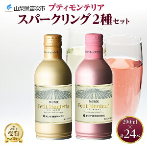 yӂ邳Ɣ[ŁzveBeA Xp[NO 2 ݔ 290ml 24{ f ʃC C  [    Mtg ӎ  ƈ Lv BBQ o[xL[ p[e