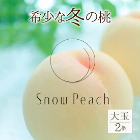 【ふるさと納税】＜2025年11月出荷＞Snow Peach （大粒2個入） ふるさと納税 もも 桃 笛吹市 国産 人気 期間限定 果物 フルーツ 旬 山梨県 送料無料 208-001