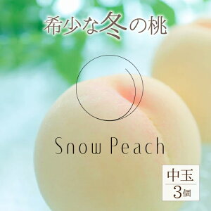 yӂ邳Ɣ[Łz2025N11oׁSnow Peachi3j ӂ邳Ɣ[   Js Y lC Ԍ ʕ t[c { R  208-002