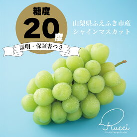 【ふるさと納税】【2026年発送★先行予約】【全房糖度20度保証付】シャインマスカット 選べる容量 約1.1kg～/日テレ「ZIP!」TBS「ひるおび」にて紹介！美味しいフルーツだけをお届け【ルッチ Rucci】 山梨県 笛吹市 果物 ぶどう 贈答 人気 ギフト 高級 先行予約 104-041-RK