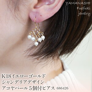 yӂ邳Ɣ[Łz K18CG[S[h@VfAfUC5tARp[@sAX@Ǘԍ686426 lC  LO ANZT[  WG[  LO v[g 