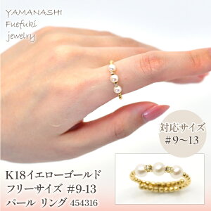 yӂ邳Ɣ[ŁzK18@CG[S[h@t[TCY@14-19p[@O@ Ǘԍ454317 ӂ邳Ɣ[ lC  LO ANZT[  WG[  LO v[