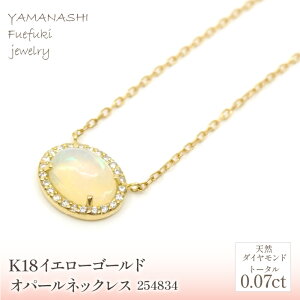 yӂ邳Ɣ[ŁzK18@CG[S[h@Ip[lbNX@ Ǘԍ254834 ӂ邳Ɣ[ lC  LO ANZT[  WG[  LO v[g R Js