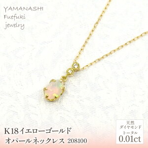 yӂ邳Ɣ[ŁzK18@CG[S[h@Ip[lbNX@ Ǘԍ208100 ӂ邳Ɣ[ lC  LO ANZT[  WG[  LO v[g R Js