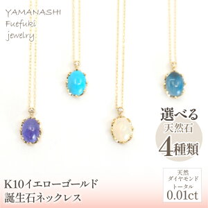 yӂ邳Ɣ[ŁzK10@CG[S[h@a΃lbNXi10 Ip[A11 hu[gp[YA12 ^[RCY^^UiCgj ӂ邳Ɣ[ lC  LO AN