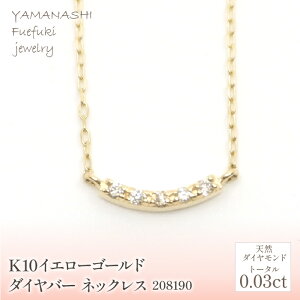 yӂ邳Ɣ[ŁzK10@CG[S[h@_Co[@lbNX@Ǘԍ208190 ӂ邳Ɣ[ lC  LO ANZT[  WG[  LO v[g R J