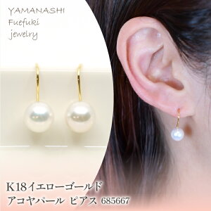 yӂ邳Ɣ[Łz K18@CG[S[h@ARp[@sAX@Ǘԍ685667 ӂ邳Ɣ[ lC  LO ANZT[  WG[  LO v[g R J