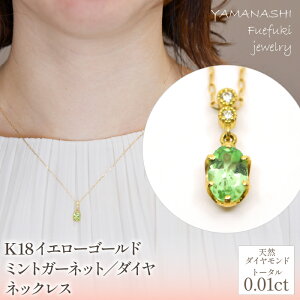 yӂ邳Ɣ[ŁzK18CG[S[h@~gK[lbg^_C@lbNX Ǘԍ208102 ӂ邳Ɣ[ lC  LO ANZT[ lbNX y_g  WG[