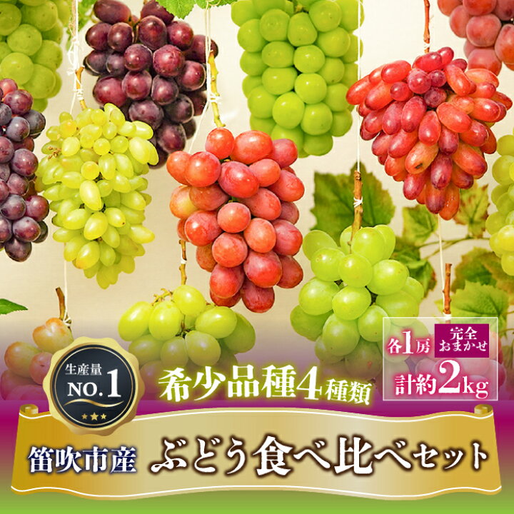 楽天市場】【ふるさと納税】＜25年発送先行予約＞ 希少品種 ぶどう 