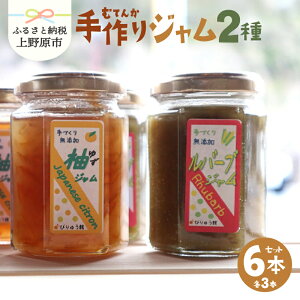 yӂ邳Ɣ[Łz Y W o[u 䂸 Zbg t[c  тイ W6{Zbg v[g 蕨  Mtg ăMtg  R 쌴s