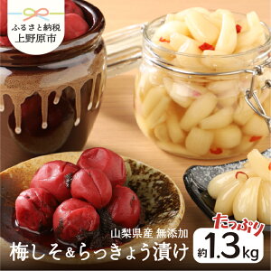 yӂ邳Ɣ[Łz ~ 傤 Y  ~Ђ 傤Ђ Zbg L ̂Ȃ R̖ Mtg v[g 蕨   R 쌴s