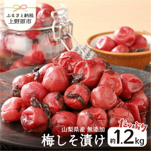 yӂ邳Ɣ[Łz ~Ђ 1.2kg Y RY ~  lC  ߂ڂ h  Y  E  ɂ ̂Ȃ 炩 W[V[ L R̖ 