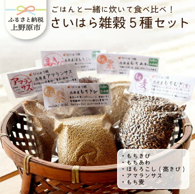 【ふるさと納税】雑穀ヘルシーもちきびもちあわほもろこし(高きび)アマランサスもち麦セットさいはら雑穀5種セット母の日プレゼント送料無料