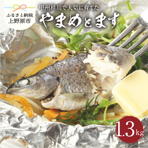 やまめ 魚介類の人気商品 通販 価格比較 価格 Com