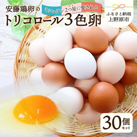 【ふるさと納税】 たまご 卵 生卵 卵かけご飯 お歳暮 高級 高級卵 濃厚鶏卵 新鮮 セット ミシュラン 安藤鶏卵のこだわり卵 30個 送料無料