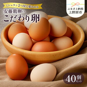 yӂ邳Ɣ[Łz ܂    Ε   Z{ VN Zbg ~V {̂藑 40 v[g  蕨  R 쌴s