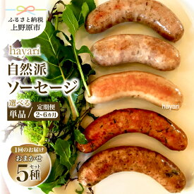 【ふるさと納税】ソーセージ 食べ比べ 無添加 詰合せ 人気 創作ソーセージ 自然派ソーセージ こだわり サルシッチャ 世界のソーセージ 5種 詰め合わせ 定期便 hayari 加工肉 15000円以内 オリジナル 素材 贈答 贈り物 ギフト お取り寄せ 送料無料 山梨県 上野原市