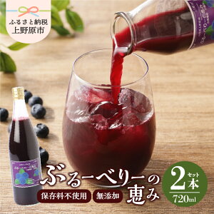 �y�ӂ邳�Ɣ[�Łz ���Y�� �u���[�x���[ �W���[�X �Z�b�g �M�t�g ���Ε� ���Y���u���[�x���[�W���[�X�u�u���[�x���[�̌b�݁v 180ml×8�{ 720ml×2�{ �v���[���g �M�t�g ���蕨 15000�~�ȉ� �N����