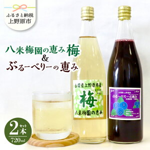 yӂ邳Ɣ[Łz ~W[X u[x[W[X 180ml×8{ 720ml×2{ Y R͔| Ĕ~ Y ۑsgp ~ʏ` Z  hN  r ăMtg 蕨 