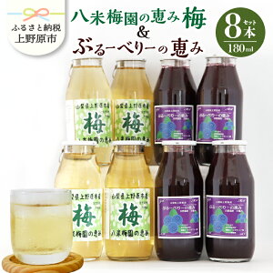 yӂ邳Ɣ[Łz ~W[X u[x[W[X 180ml×8{ 720ml×2{ Y R͔| Ĕ~ Y ۑsgp ~ʏ` Z  hN  r ăMtg 蕨 