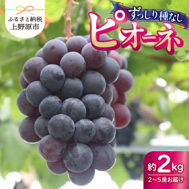 【ふるさと納税】 【2024年先行予約】山梨県産 ピオーネ 種なし 約2kg 2〜5房 ぶどう 葡萄 果物 フルーツ デザート 甘い 山梨県 上野原市 送料無料 ※沖縄県・離島不可