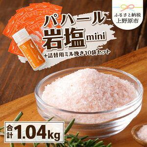 yӂ邳Ɣ[Łz ≖  pn[≖ mini VR Y | l֗p ~ҕ 100g 10 蕨 Mtg v[g  R 쌴s
