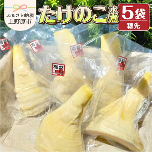 yӂ邳Ɣ[Łz ̂  5 ̂ |̎q  d ^pbN  _炩  蕨 Mtg v[g  ꌧAs R 쌴s