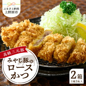 【ふるさと納税】 とんかつ みやじ豚 ロース かつ 180g×4パック 特選 お惣菜 冷凍 冷凍食品 トンカツ 肉 お弁当 絶品 食事処 あやの 送料無料 年内発送 山梨県 上野原市