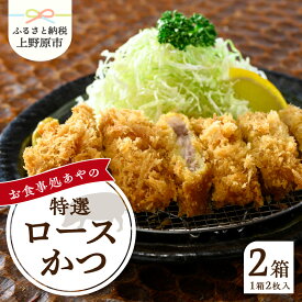 【ふるさと納税】 とんかつ ロース かつ 180g×4パック 特選 お惣菜 冷凍 冷凍食品 トンカツ 肉 お弁当 絶品 食事処 あやの 送料無料 年内発送 山梨県 上野原市